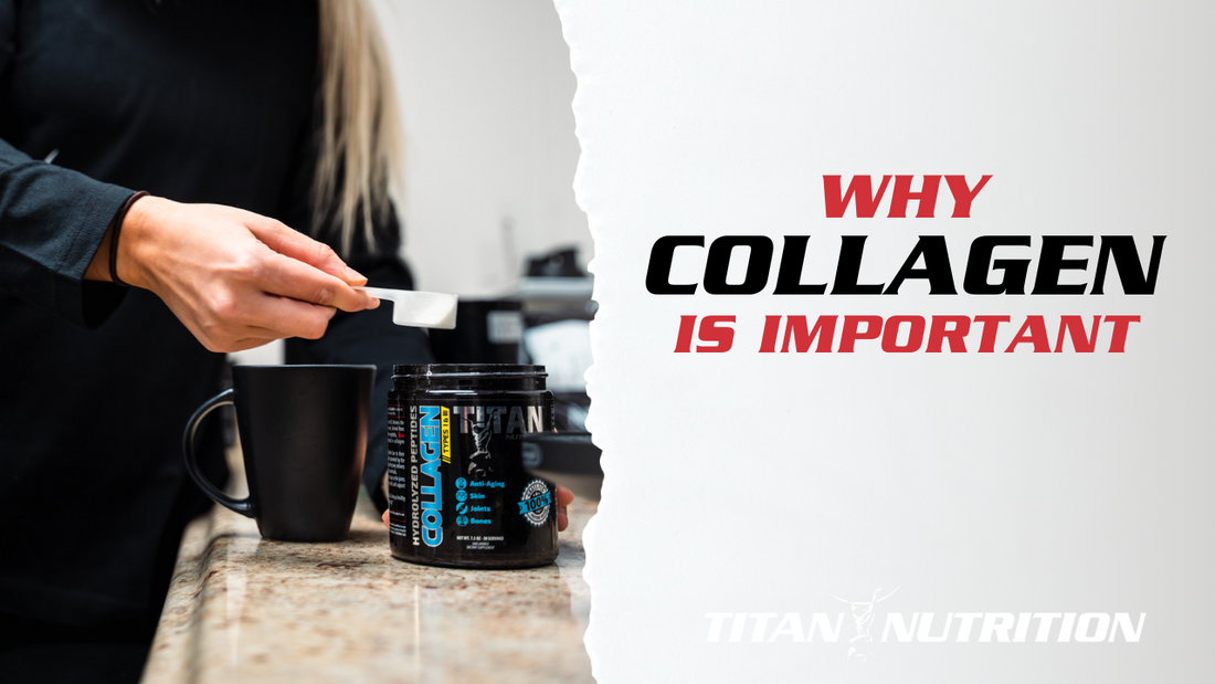 Why Titan Nutrition's 1 & 3 Collagen is so Important!