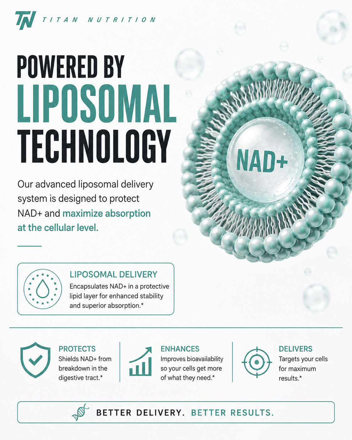 Liposomal NAD+