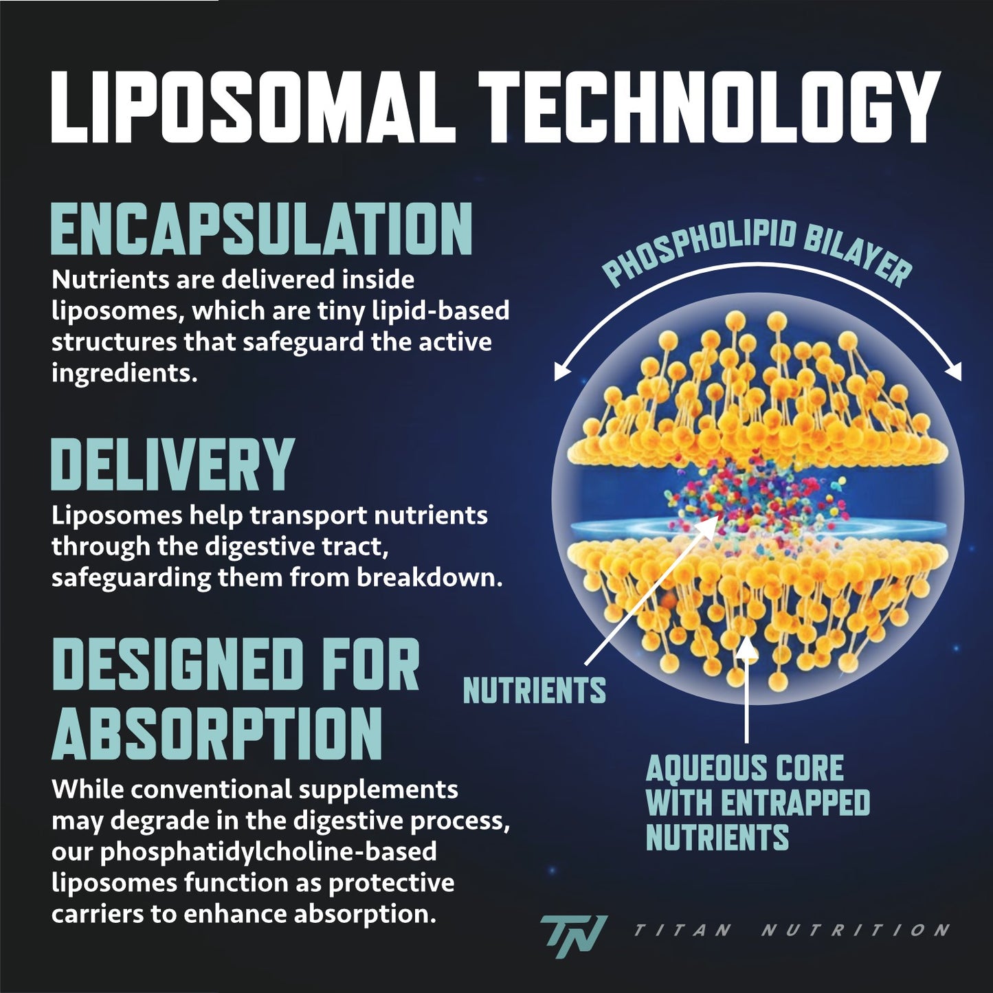 Liposomal NAD+