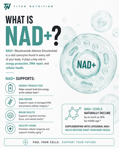 Liposomal NAD+